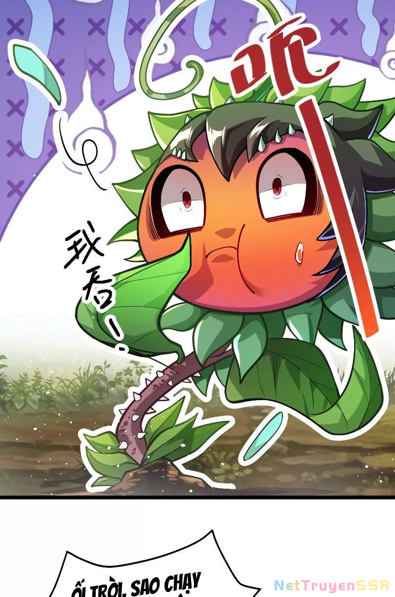Thôn phệ đi, đại chùy hoa Chapter 1 - Trang 2