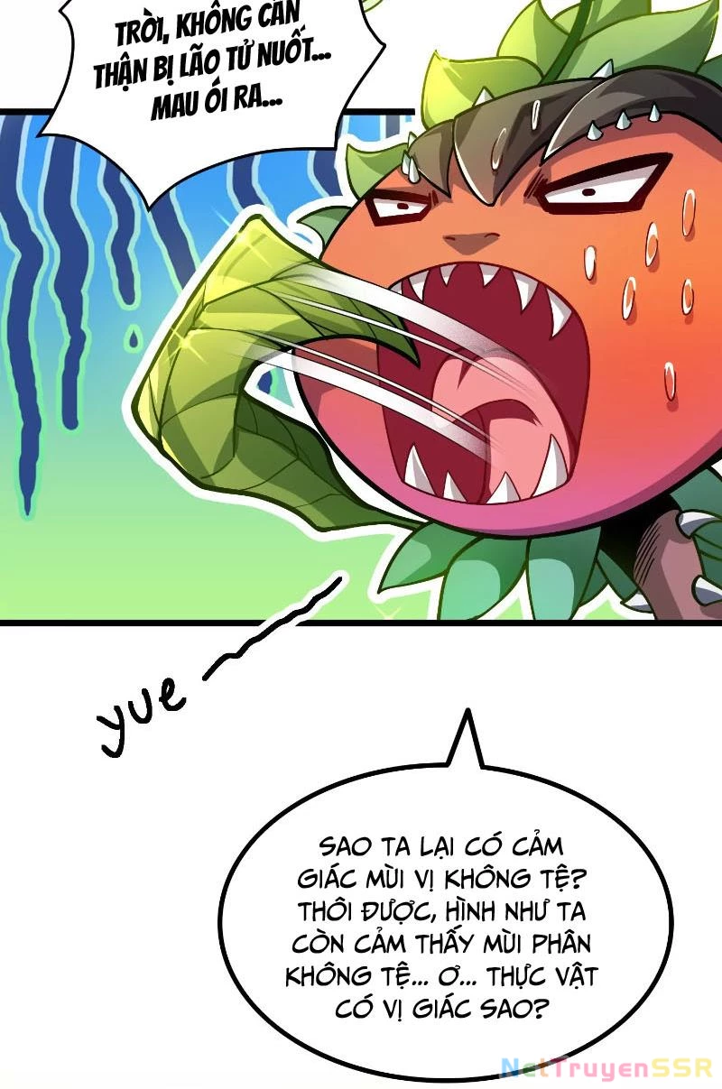 Thôn phệ đi, đại chùy hoa Chapter 1 - Trang 2