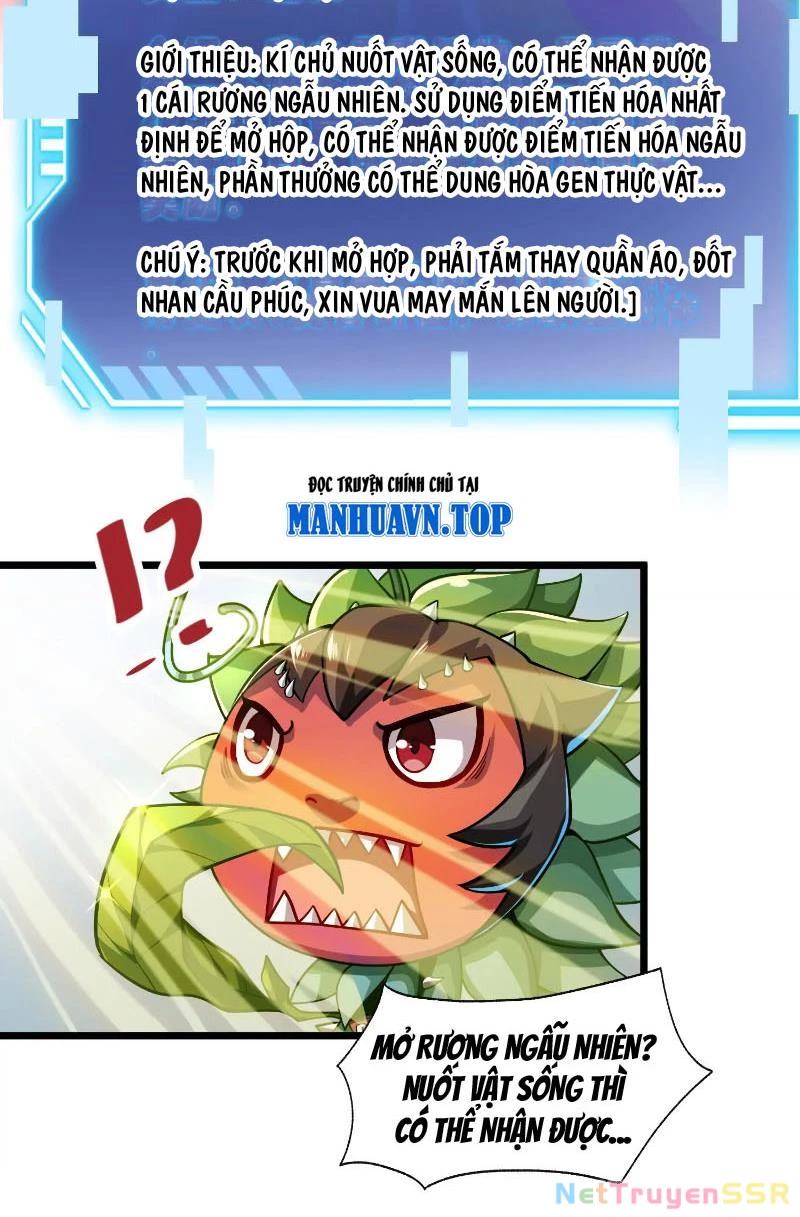 Thôn phệ đi, đại chùy hoa Chapter 1 - Trang 2