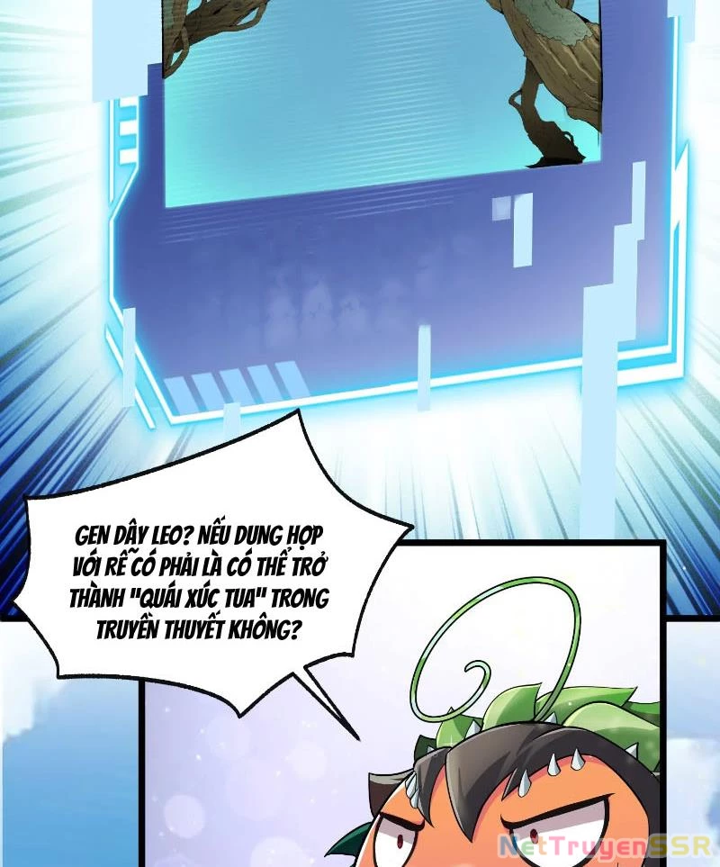 Thôn phệ đi, đại chùy hoa Chapter 1 - Trang 2