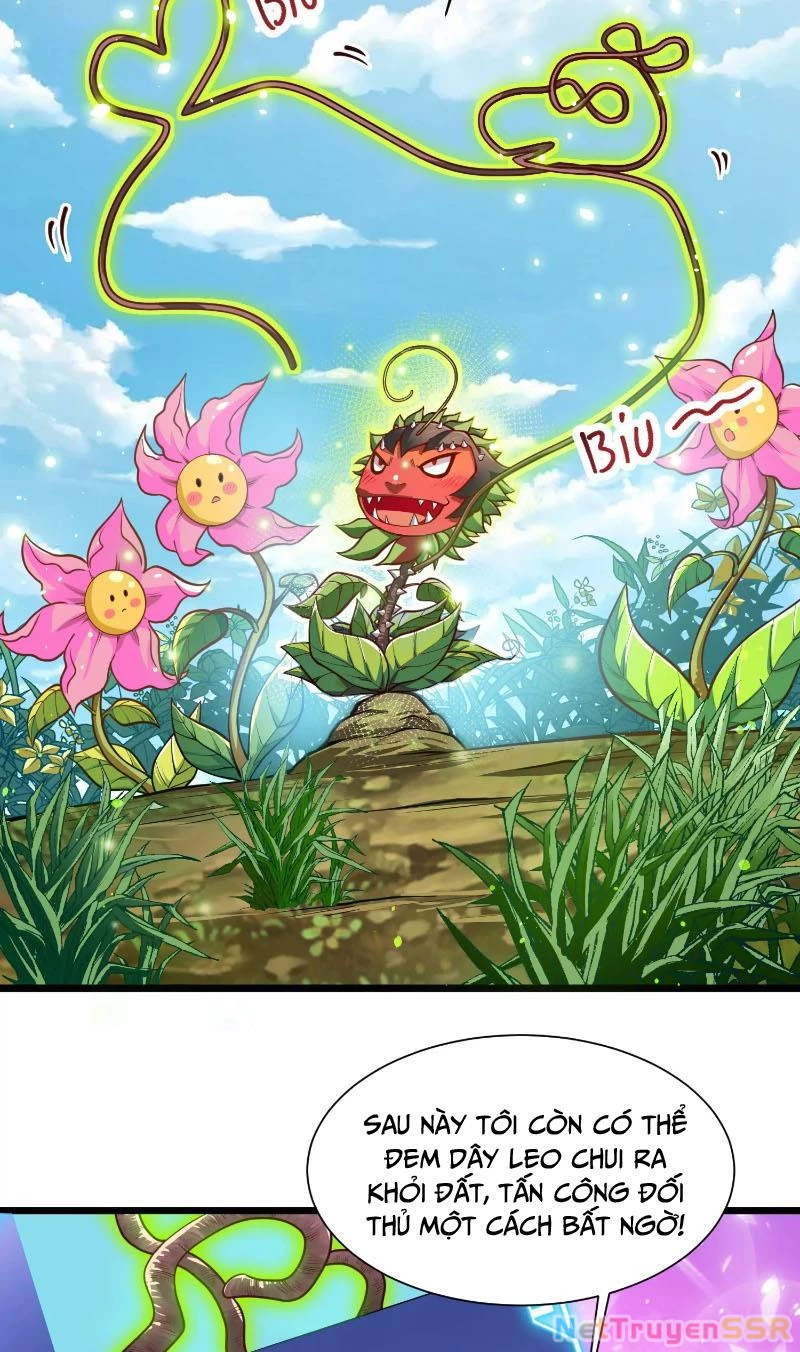 Thôn phệ đi, đại chùy hoa Chapter 2 - Trang 2