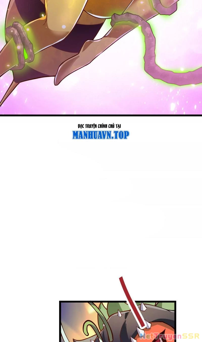 Thôn phệ đi, đại chùy hoa Chapter 2 - Trang 2