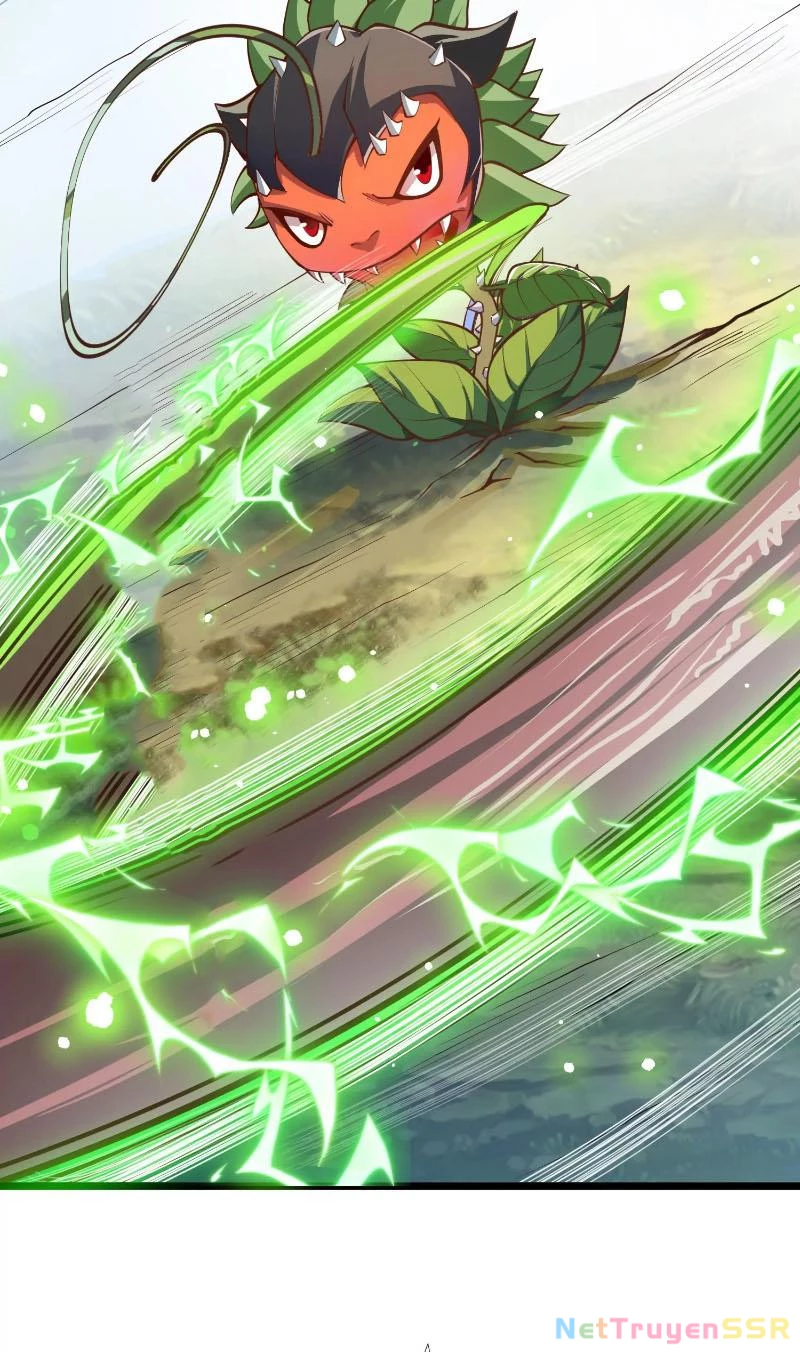 Thôn phệ đi, đại chùy hoa Chapter 2 - Trang 2