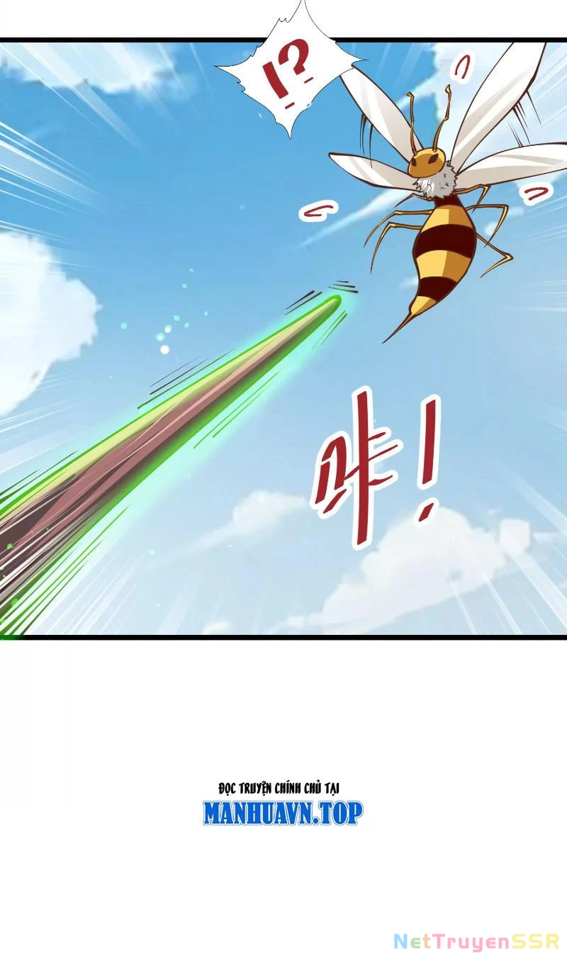 Thôn phệ đi, đại chùy hoa Chapter 2 - Trang 2