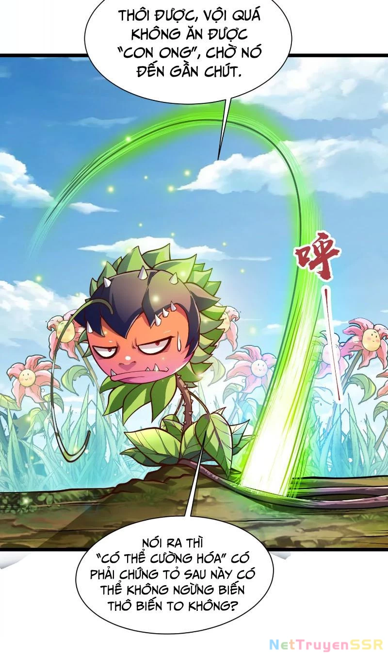 Thôn phệ đi, đại chùy hoa Chapter 2 - Trang 2