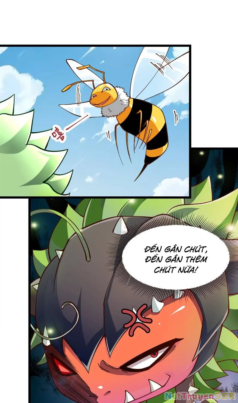 Thôn phệ đi, đại chùy hoa Chapter 2 - Trang 2