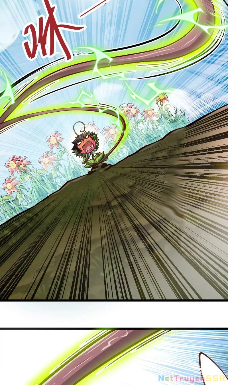 Thôn phệ đi, đại chùy hoa Chapter 2 - Trang 2