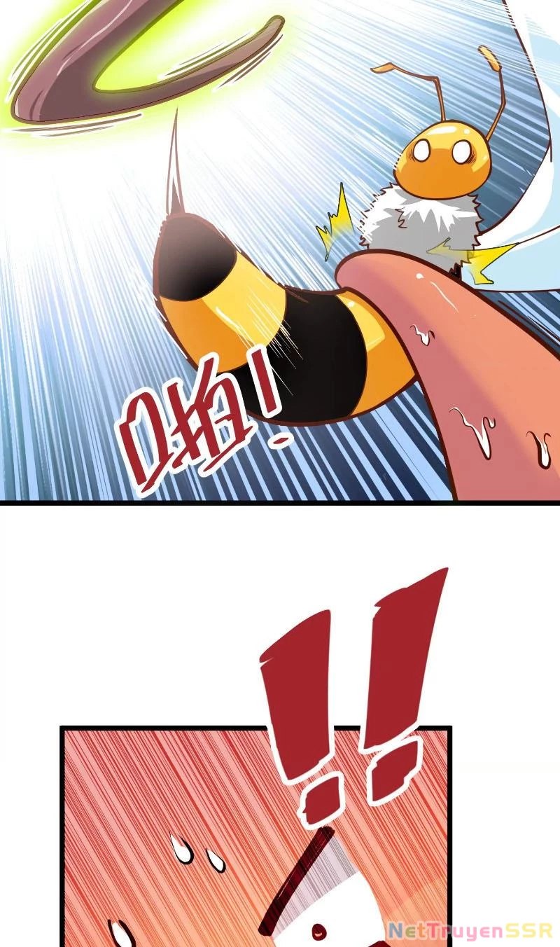 Thôn phệ đi, đại chùy hoa Chapter 2 - Trang 2