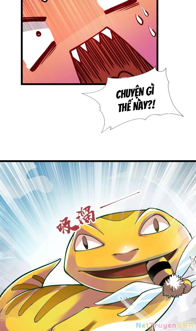 Thôn phệ đi, đại chùy hoa Chapter 2 - Trang 2