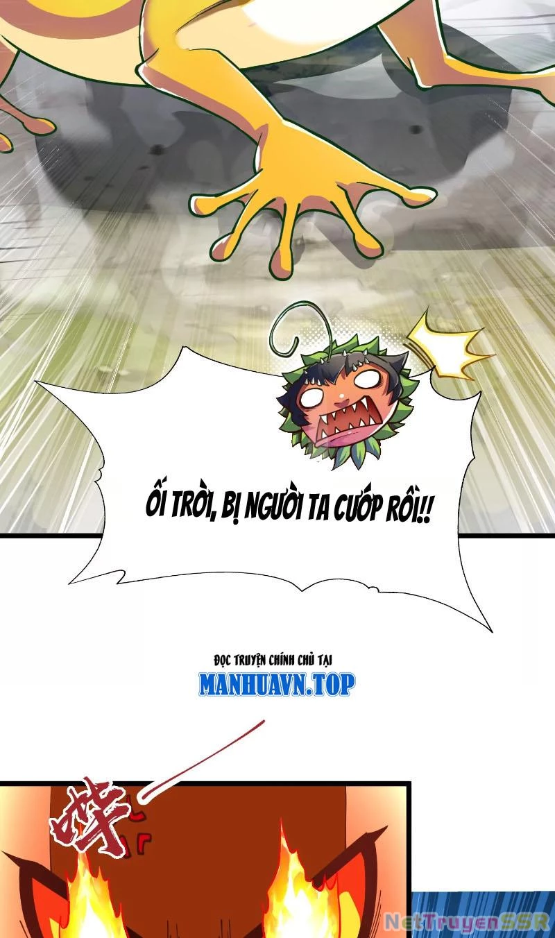 Thôn phệ đi, đại chùy hoa Chapter 2 - Trang 2