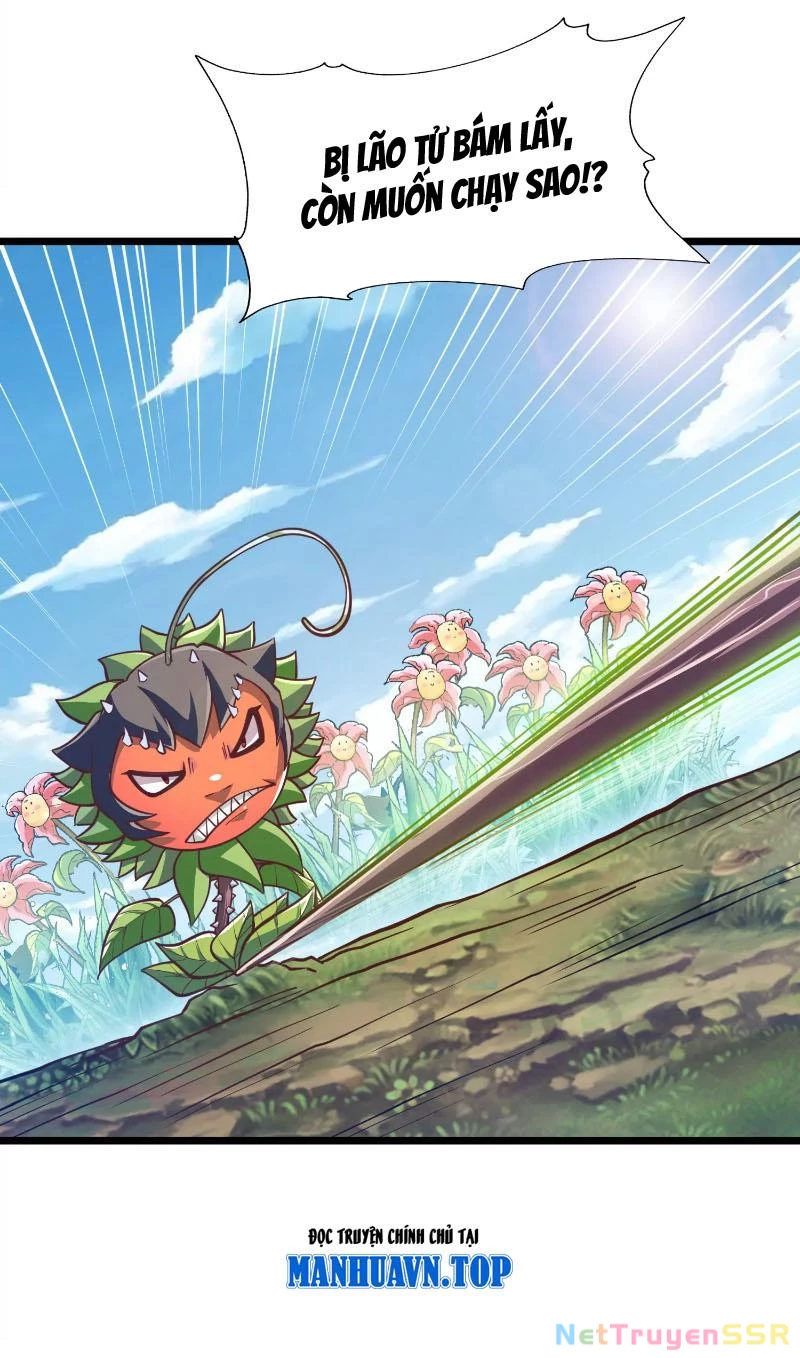 Thôn phệ đi, đại chùy hoa Chapter 2 - Trang 2