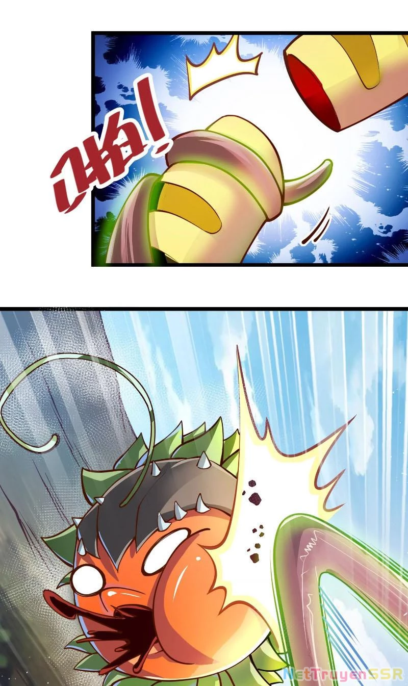 Thôn phệ đi, đại chùy hoa Chapter 2 - Trang 2