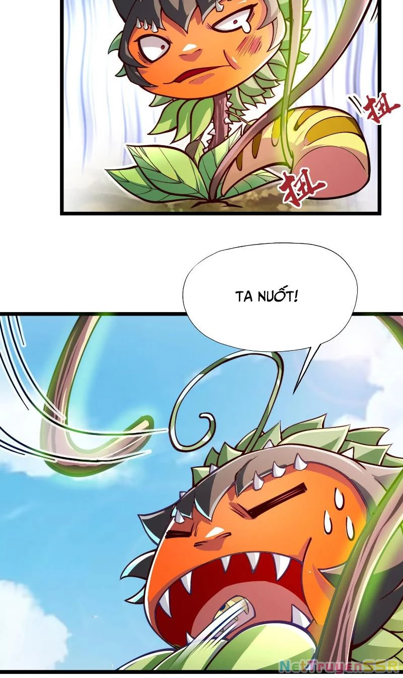 Thôn phệ đi, đại chùy hoa Chapter 2 - Trang 2