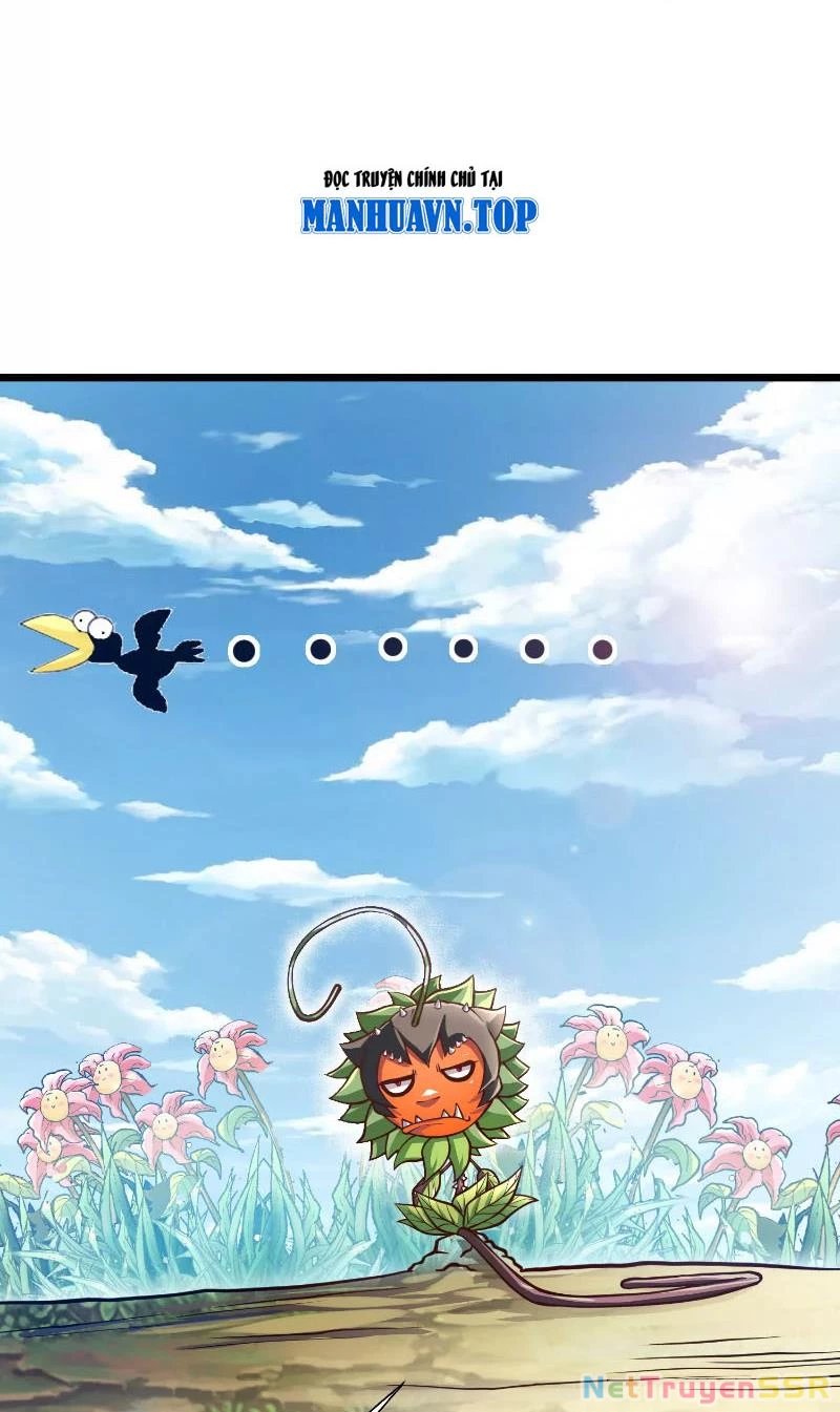 Thôn phệ đi, đại chùy hoa Chapter 2 - Trang 2