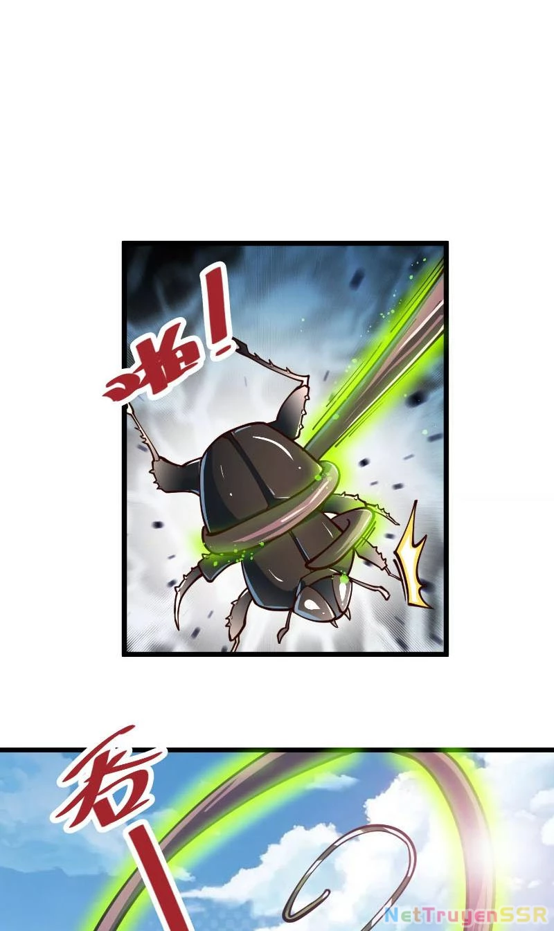 Thôn phệ đi, đại chùy hoa Chapter 2 - Trang 2