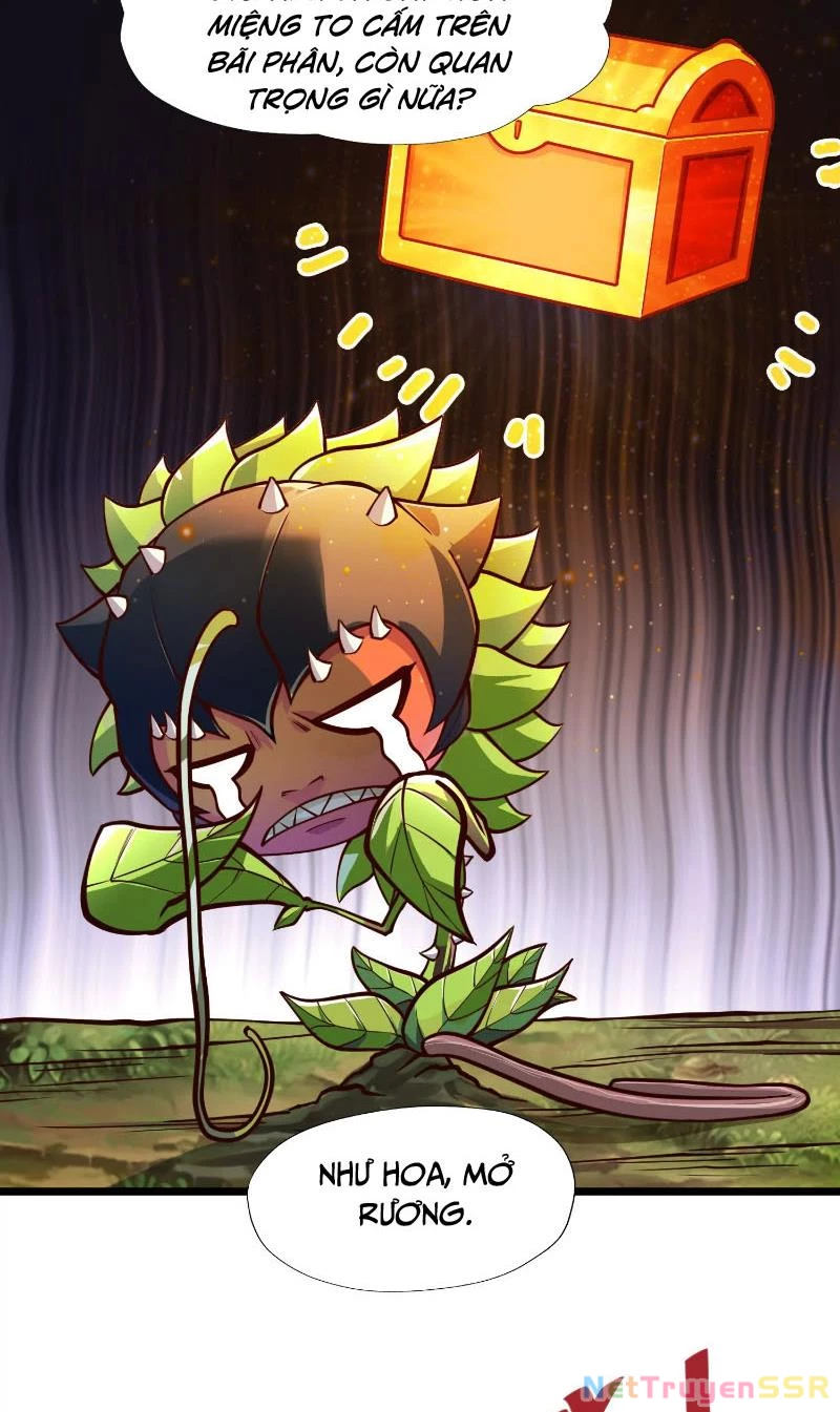 Thôn phệ đi, đại chùy hoa Chapter 2 - Trang 2