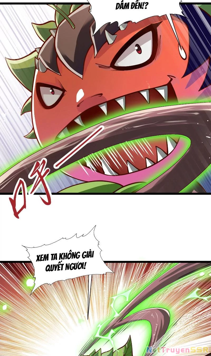 Thôn phệ đi, đại chùy hoa Chapter 2 - Trang 2