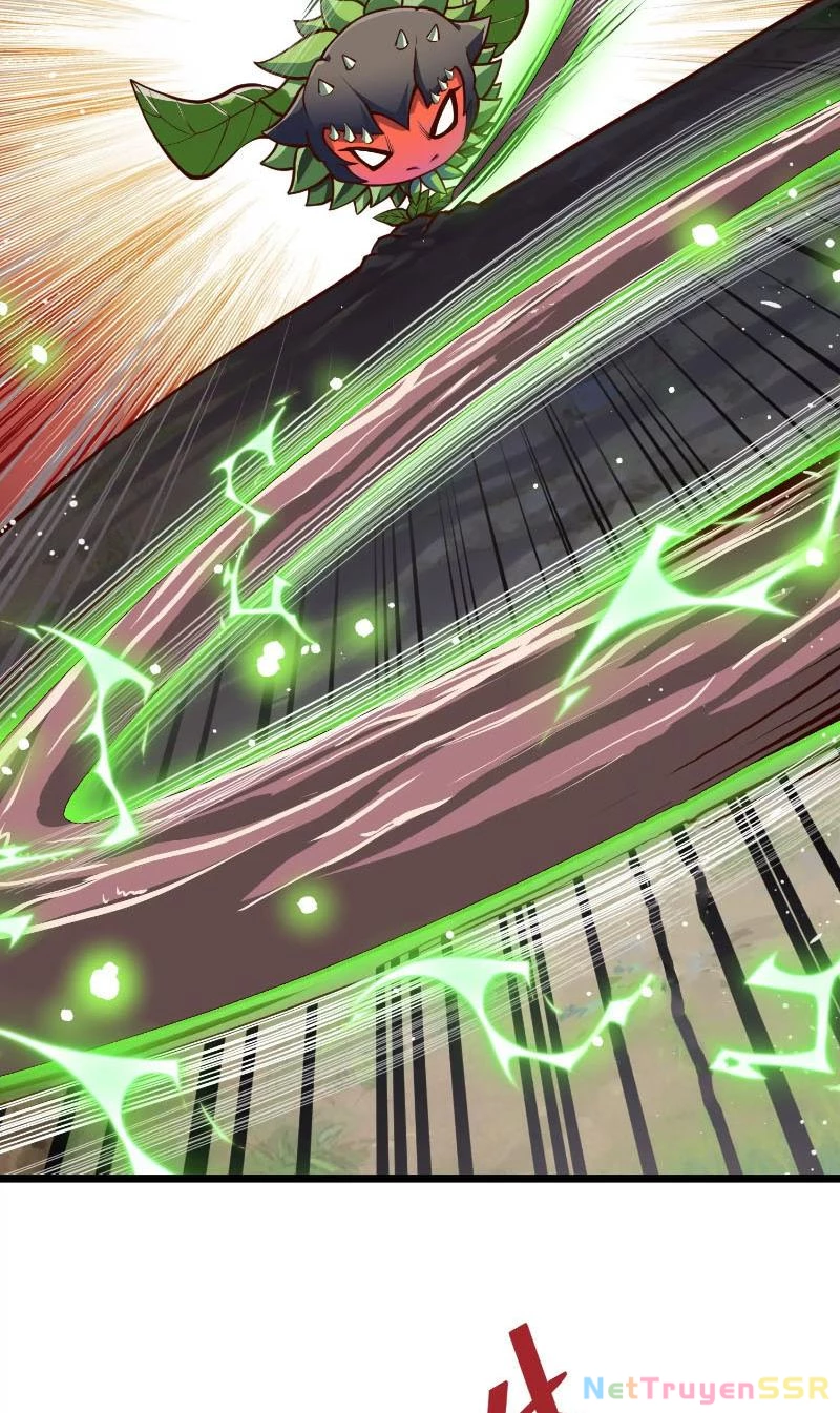 Thôn phệ đi, đại chùy hoa Chapter 2 - Trang 2