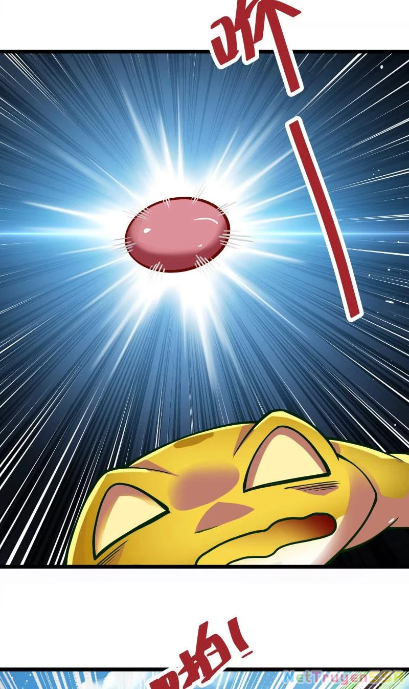 Thôn phệ đi, đại chùy hoa Chapter 2 - Trang 2