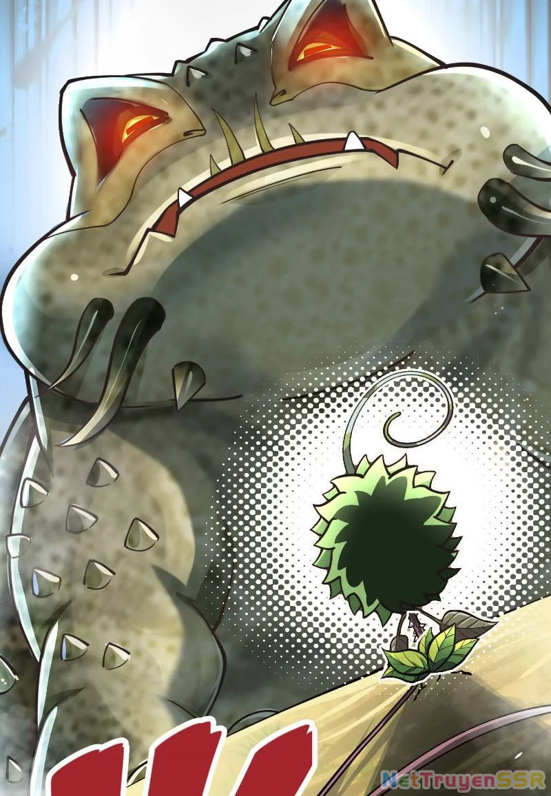 Thôn phệ đi, đại chùy hoa Chapter 2 - Trang 2