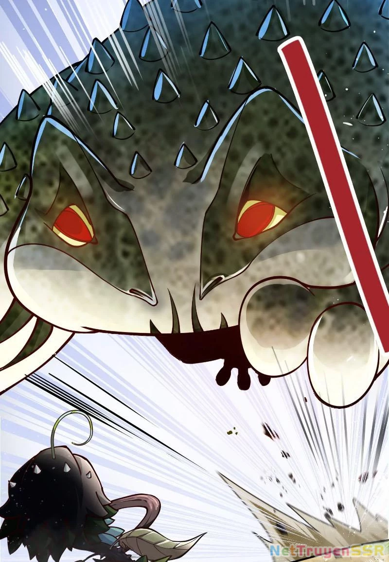 Thôn phệ đi, đại chùy hoa Chapter 2 - Trang 2