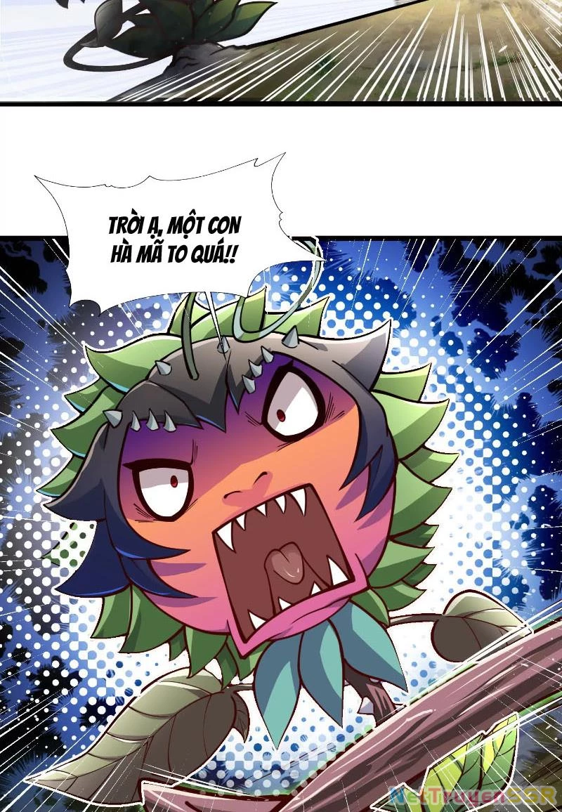 Thôn phệ đi, đại chùy hoa Chapter 2 - Trang 2