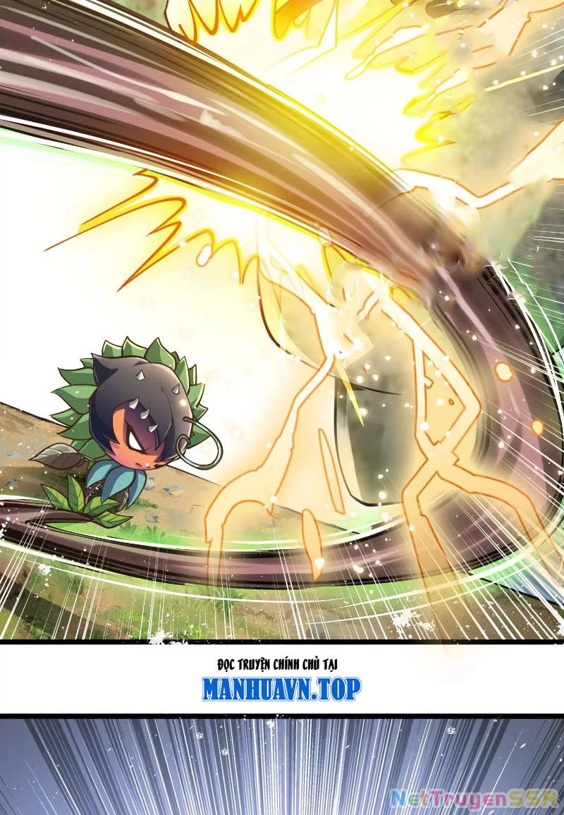 Thôn phệ đi, đại chùy hoa Chapter 2 - Trang 2