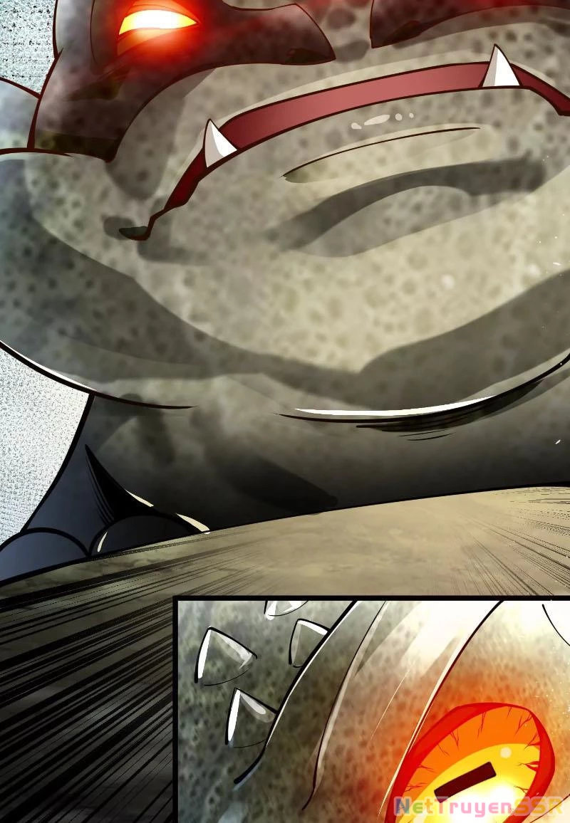 Thôn phệ đi, đại chùy hoa Chapter 2 - Trang 2