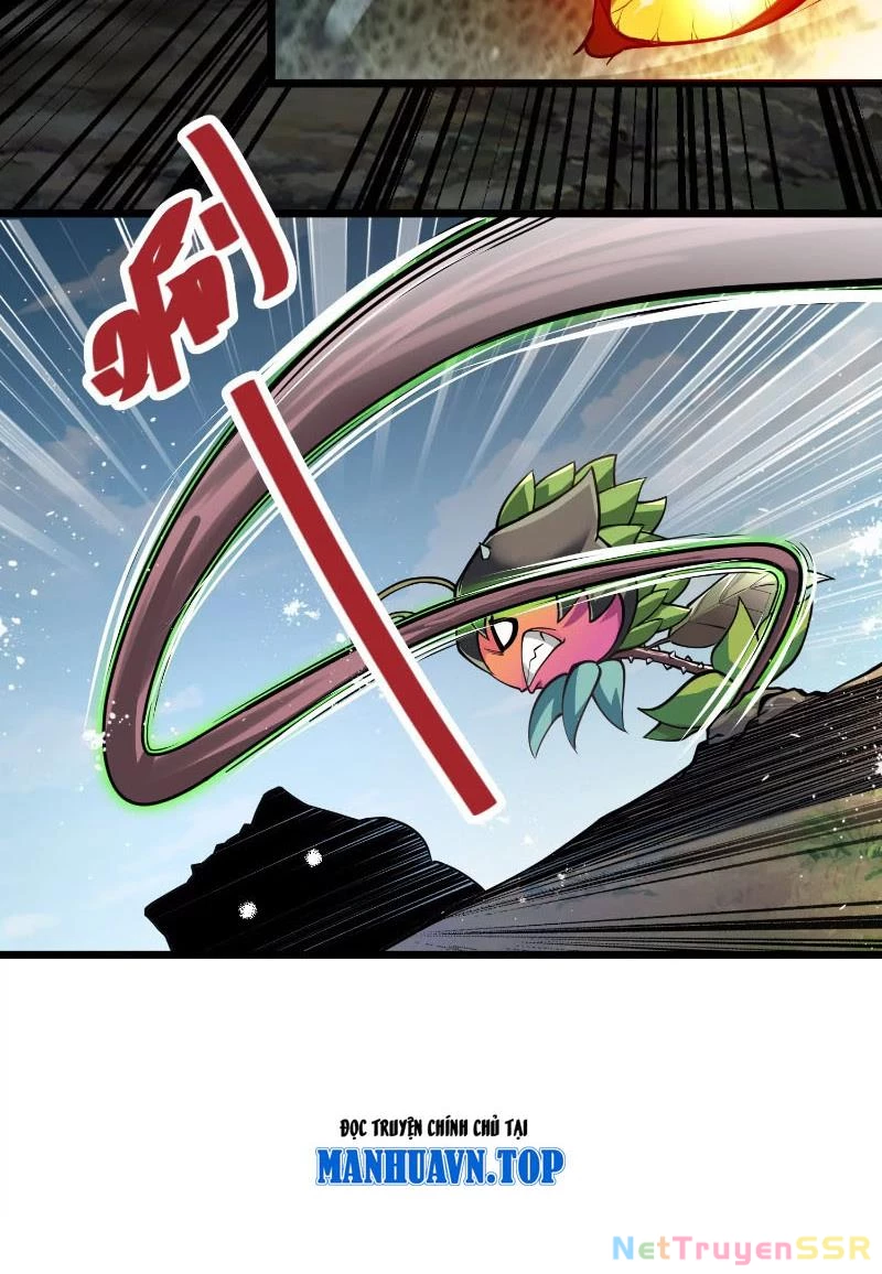 Thôn phệ đi, đại chùy hoa Chapter 2 - Trang 2