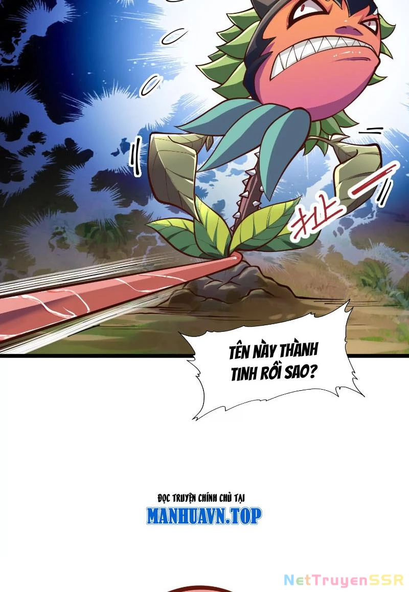 Thôn phệ đi, đại chùy hoa Chapter 2 - Trang 2