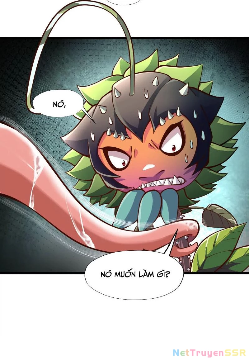 Thôn phệ đi, đại chùy hoa Chapter 2 - Trang 2