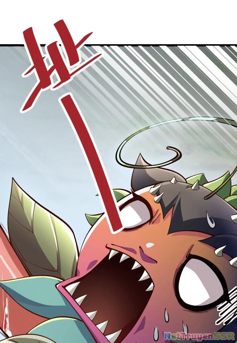 Thôn phệ đi, đại chùy hoa Chapter 2 - Trang 2