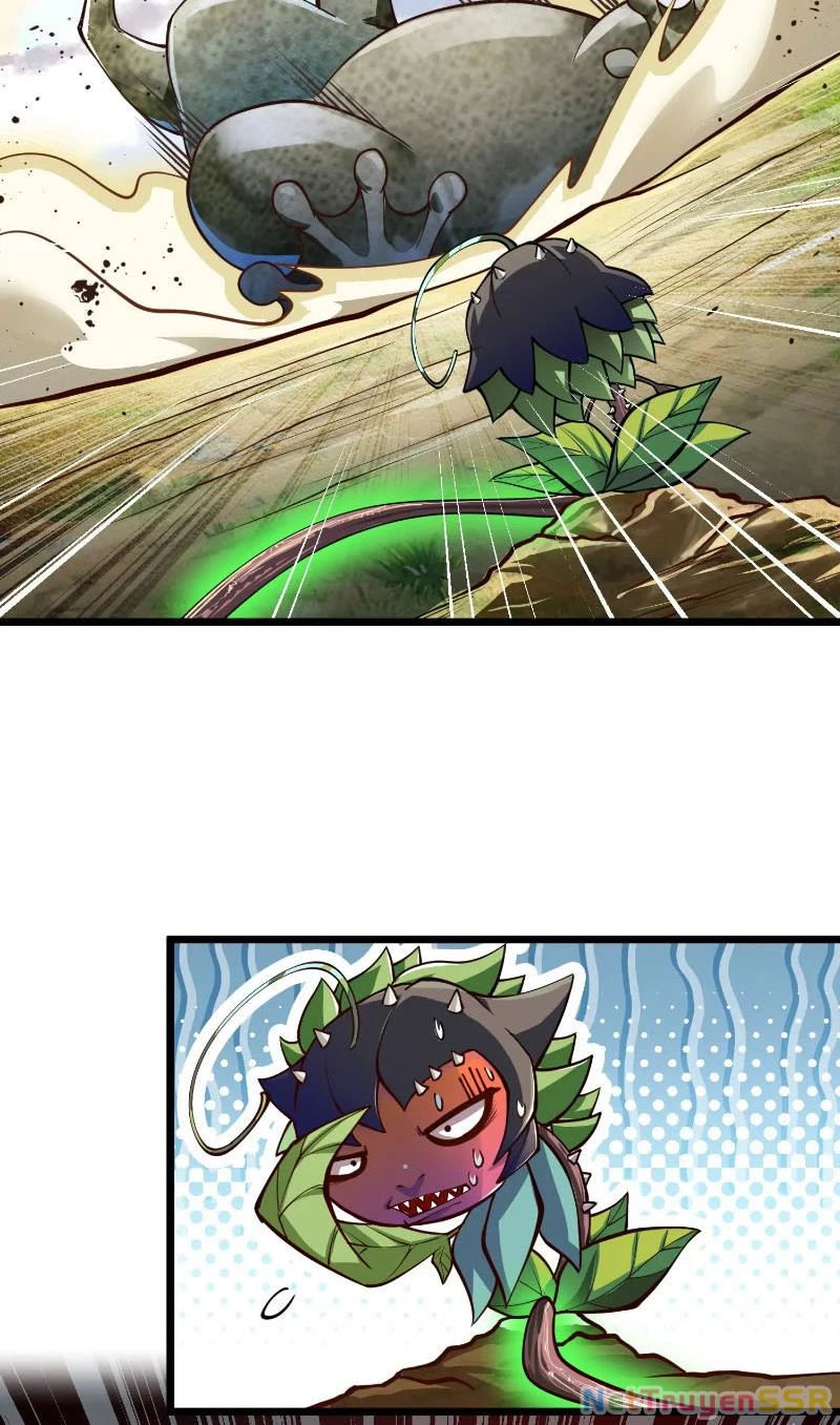 Thôn phệ đi, đại chùy hoa Chapter 3 - Trang 2