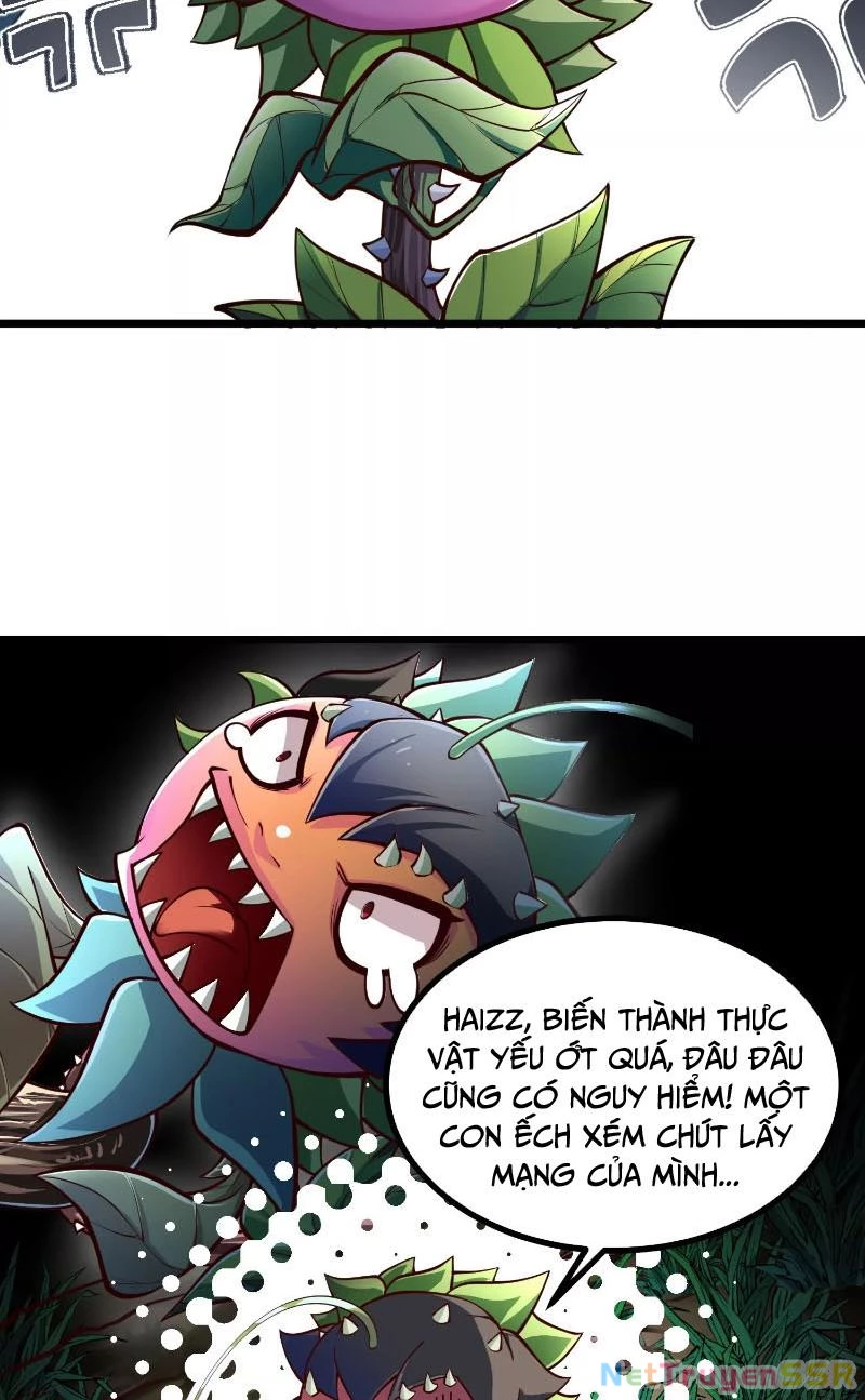 Thôn phệ đi, đại chùy hoa Chapter 3 - Trang 2