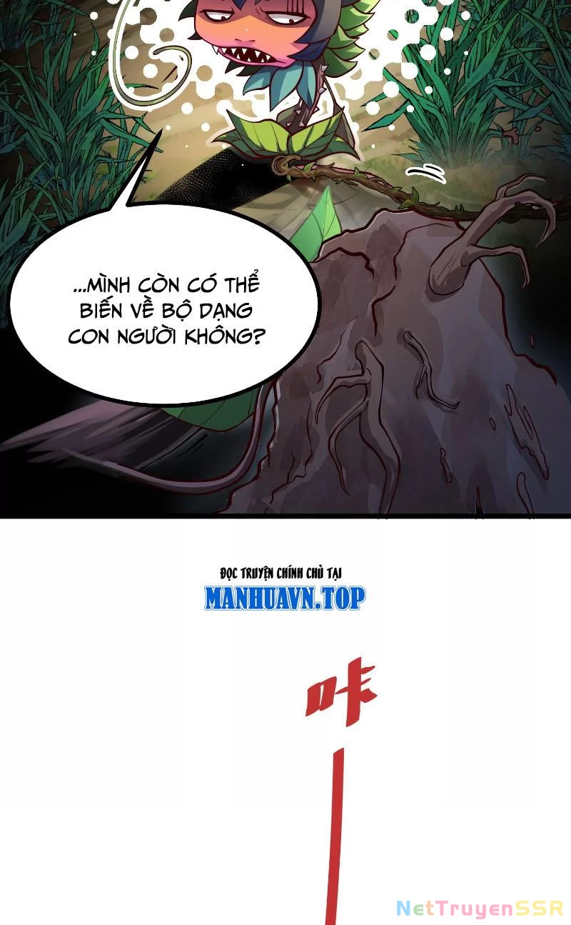 Thôn phệ đi, đại chùy hoa Chapter 3 - Trang 2