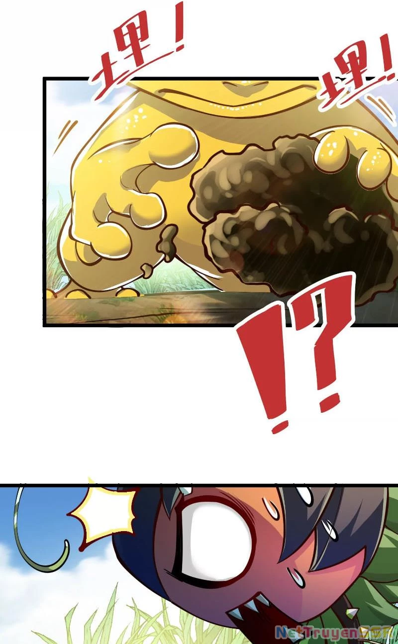 Thôn phệ đi, đại chùy hoa Chapter 3 - Trang 2