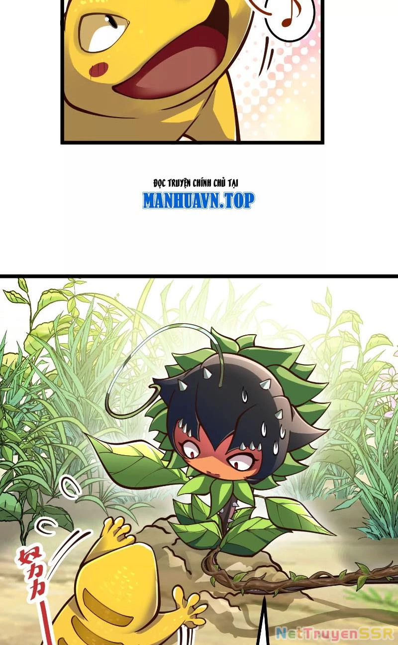 Thôn phệ đi, đại chùy hoa Chapter 3 - Trang 2