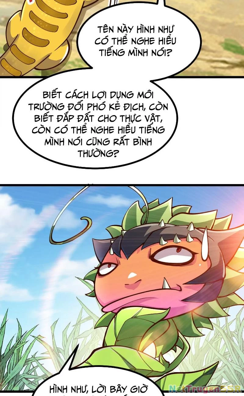 Thôn phệ đi, đại chùy hoa Chapter 3 - Trang 2