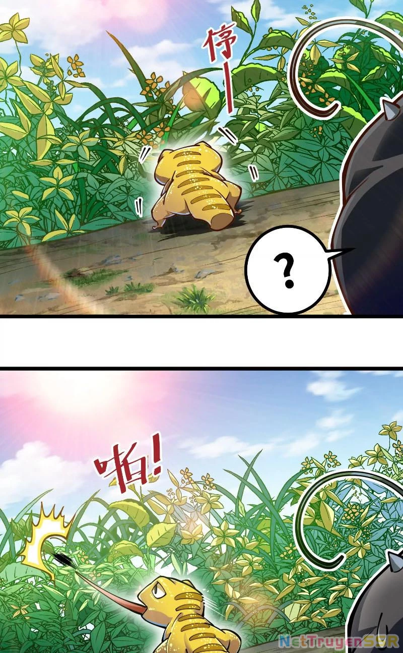 Thôn phệ đi, đại chùy hoa Chapter 3 - Trang 2