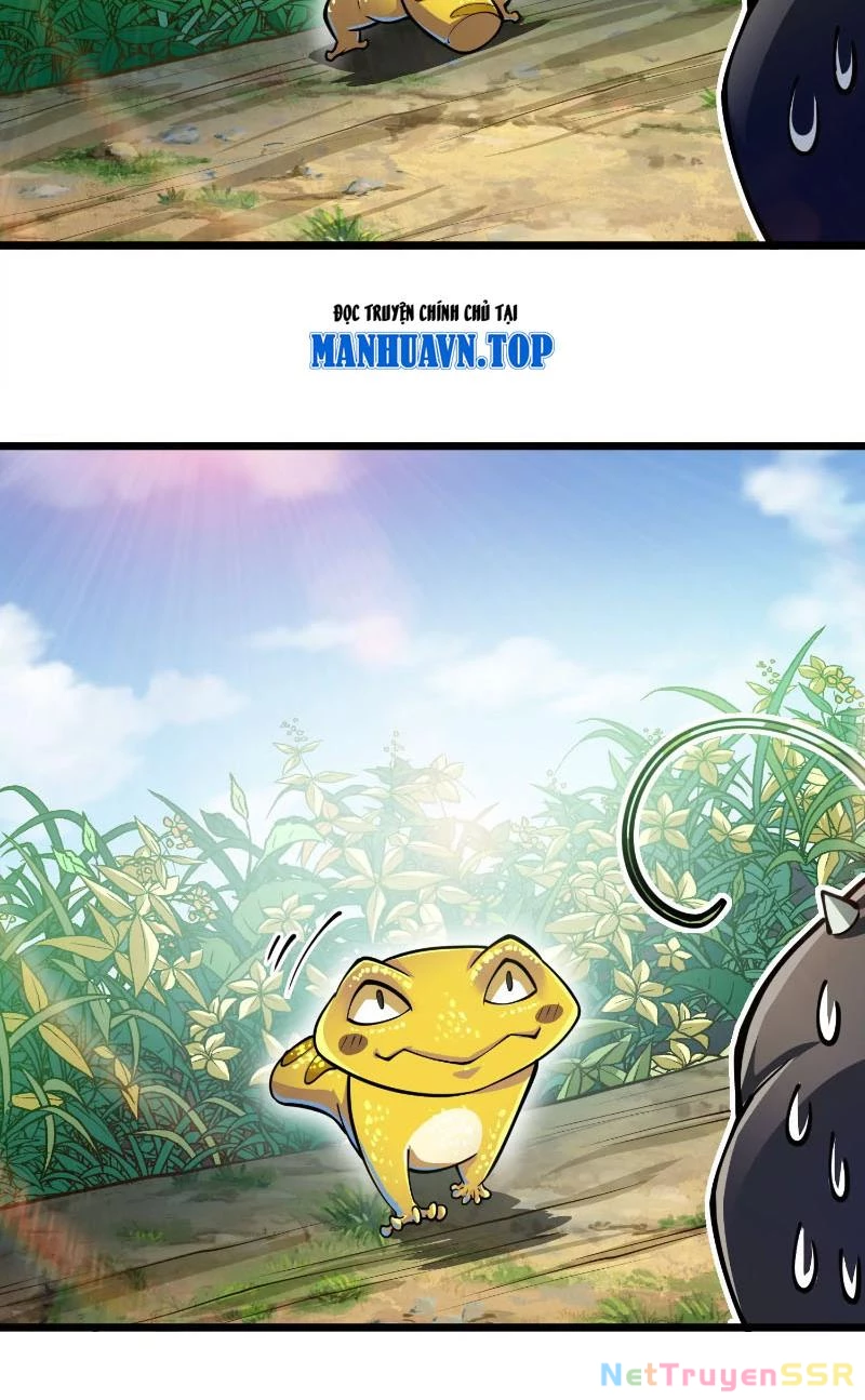 Thôn phệ đi, đại chùy hoa Chapter 3 - Trang 2