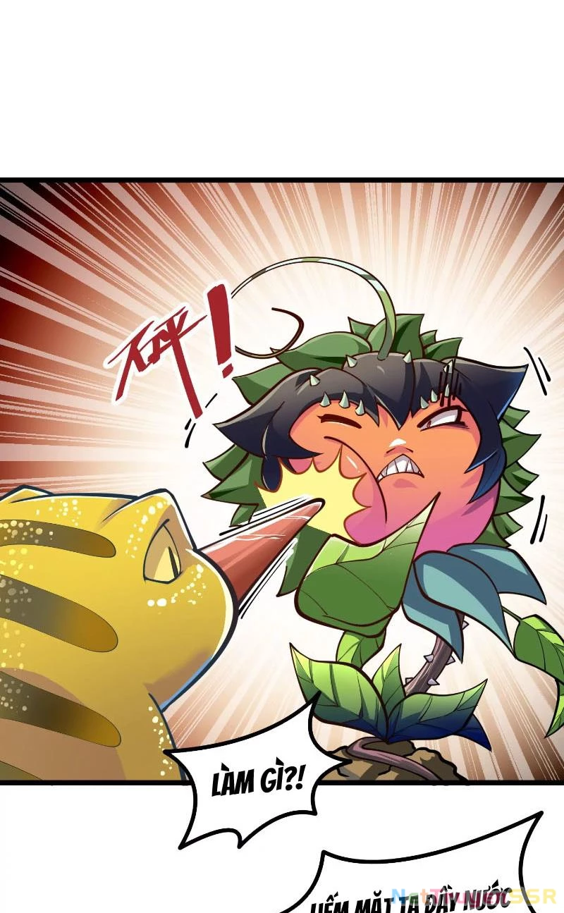 Thôn phệ đi, đại chùy hoa Chapter 3 - Trang 2