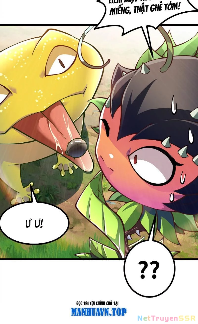 Thôn phệ đi, đại chùy hoa Chapter 3 - Trang 2