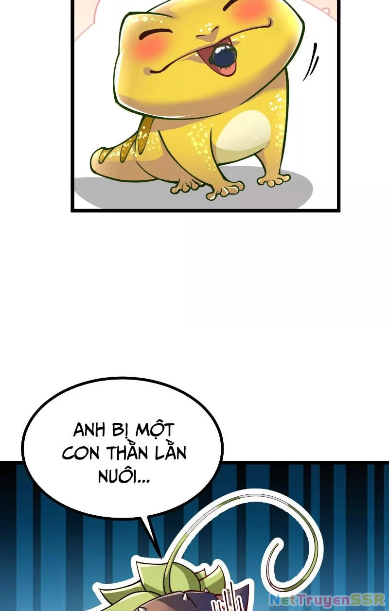 Thôn phệ đi, đại chùy hoa Chapter 3 - Trang 2