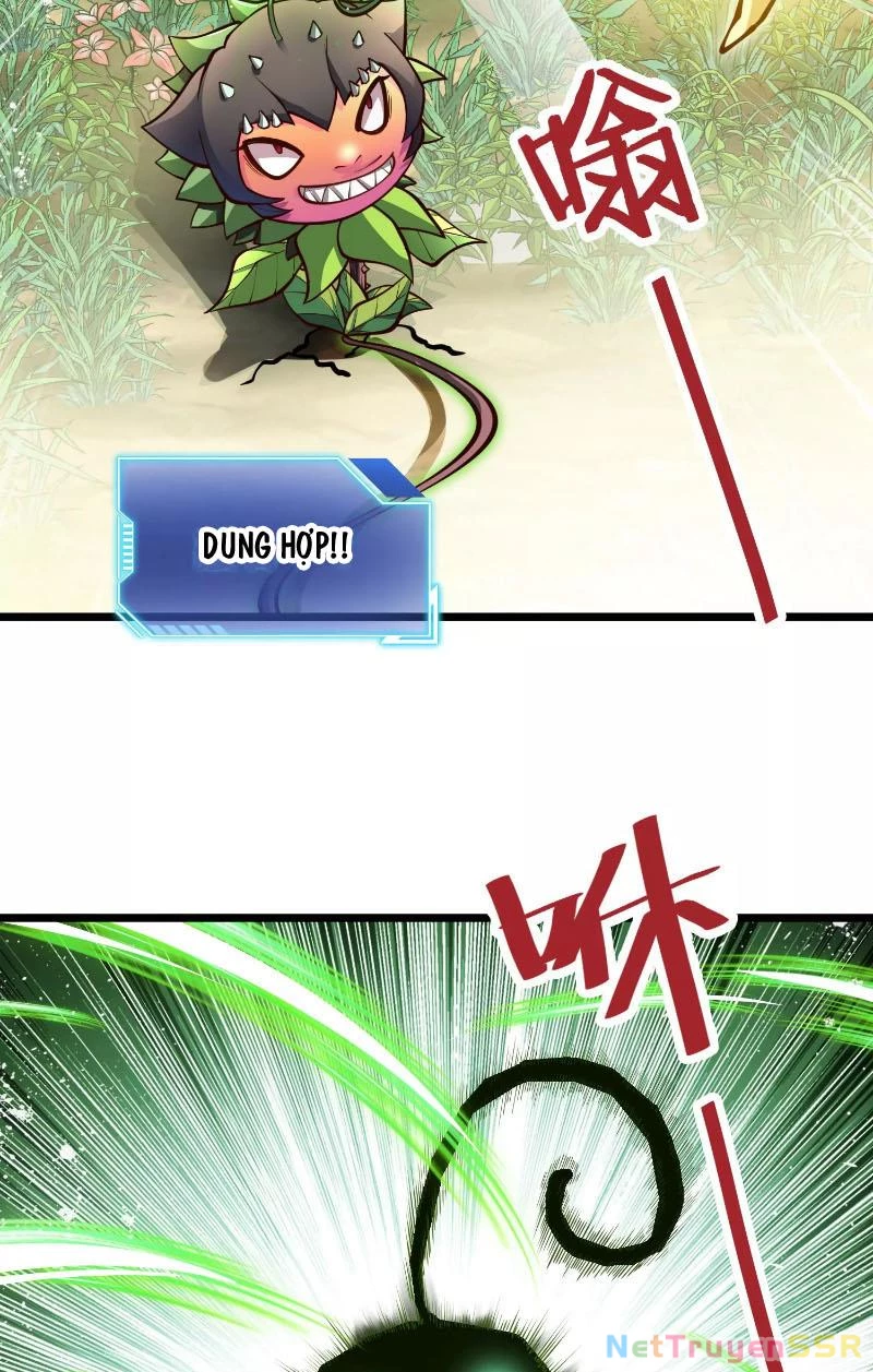 Thôn phệ đi, đại chùy hoa Chapter 3 - Trang 2