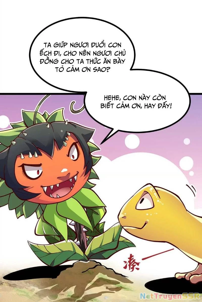 Thôn phệ đi, đại chùy hoa Chapter 4 - Trang 2