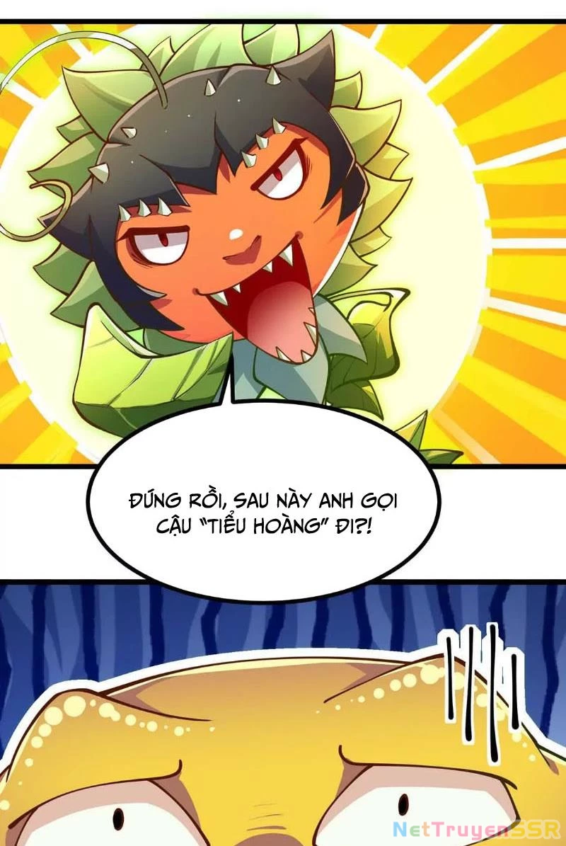 Thôn phệ đi, đại chùy hoa Chapter 4 - Trang 2