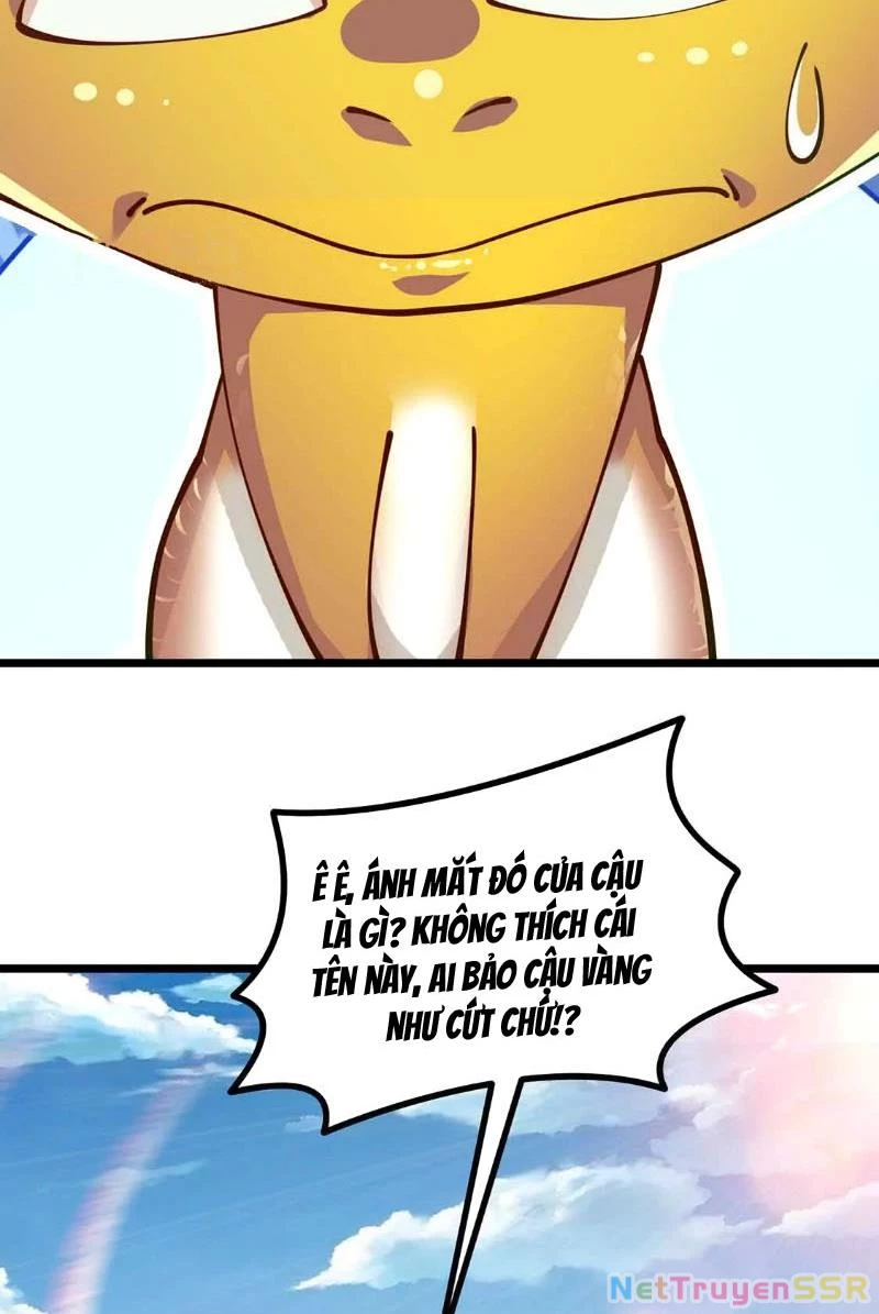 Thôn phệ đi, đại chùy hoa Chapter 4 - Trang 2