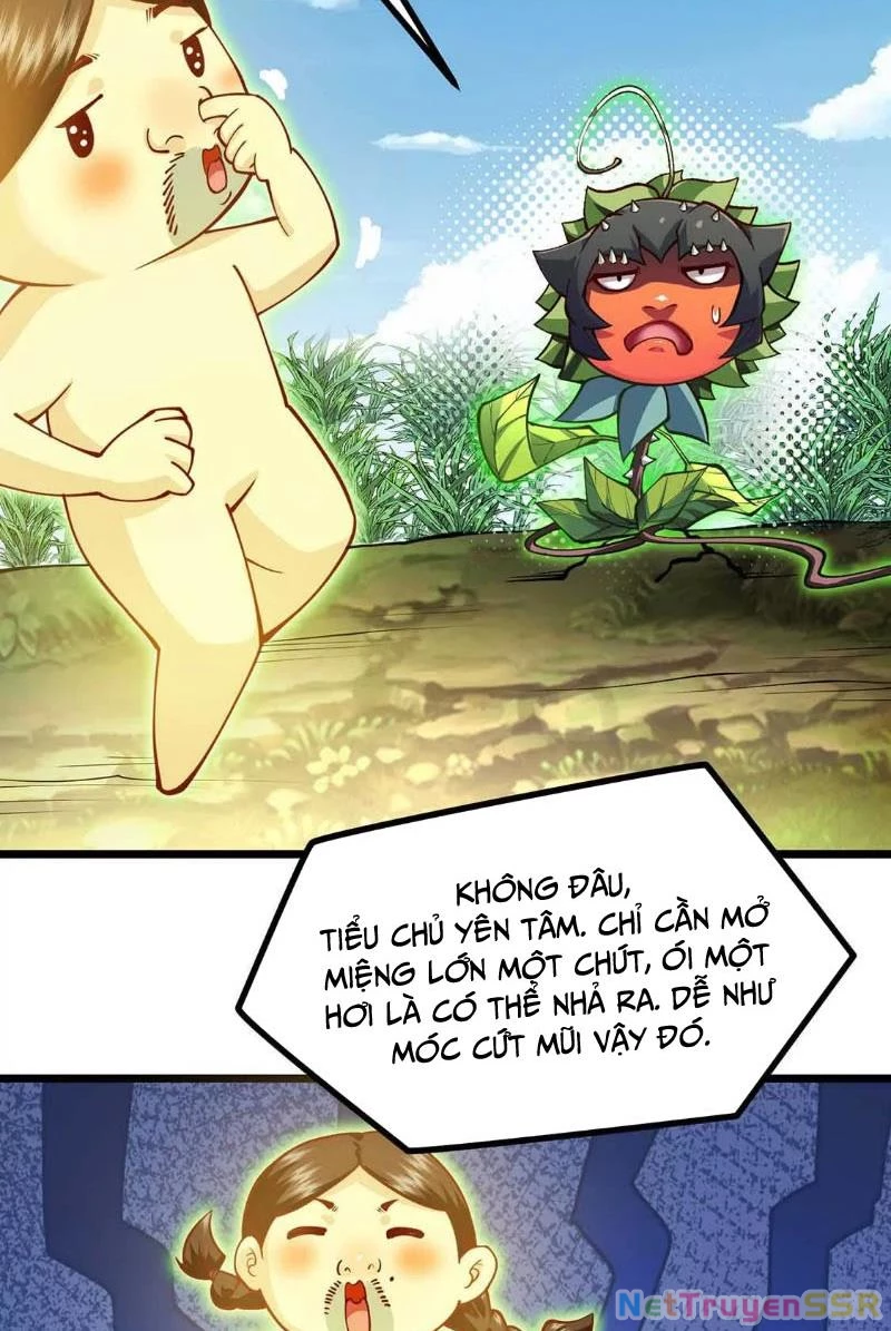 Thôn phệ đi, đại chùy hoa Chapter 4 - Trang 2