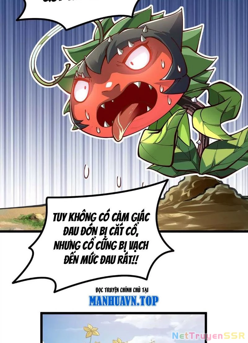 Thôn phệ đi, đại chùy hoa Chapter 4 - Trang 2