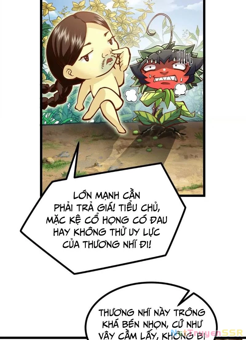 Thôn phệ đi, đại chùy hoa Chapter 4 - Trang 2